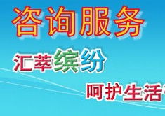 信息咨詢服務 定義、流程與核心價值